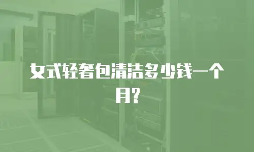 女式轻奢包清洁多少钱一个月?