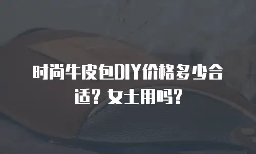 时尚牛皮包DIY价格多少合适？女士用吗？