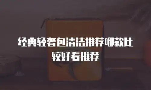 经典轻奢包清洁推荐哪款比较好看推荐