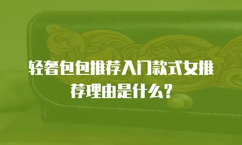 轻奢包包推荐入门款式女推荐理由是什么？