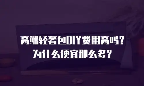 高端轻奢包DIY费用高吗？为什么便宜那么多？