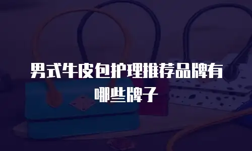 男式牛皮包护理推荐品牌有哪些牌子