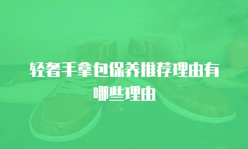 轻奢手拿包保养推荐理由有哪些理由