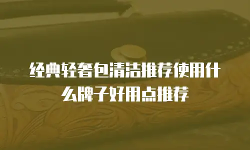 经典轻奢包清洁推荐使用什么牌子好用点推荐