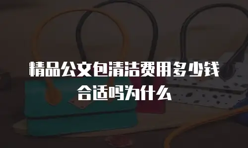 精品公文包清洁费用多少钱合适吗为什么