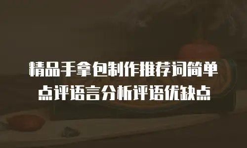 精品手拿包制作推荐词简单点评语言分析评语优缺点