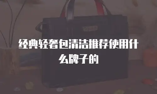经典轻奢包清洁推荐使用什么牌子的