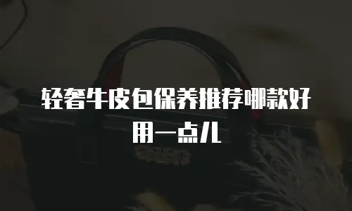轻奢牛皮包保养推荐哪款好用一点儿