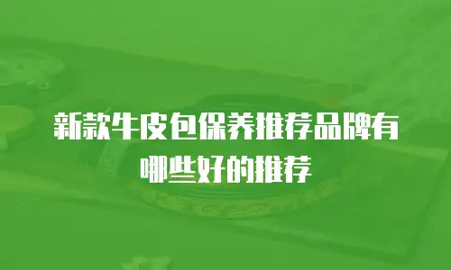 新款牛皮包保养推荐品牌有哪些好的推荐