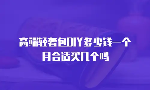 高端轻奢包DIY多少钱一个月合适买几个吗