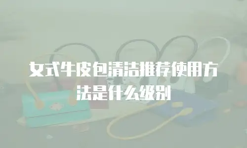 女式牛皮包清洁推荐使用方法是什么级别