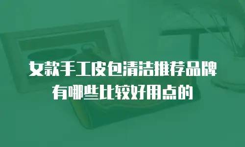 女款手工皮包清洁推荐品牌有哪些比较好用点的
