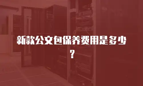 新款公文包保养费用是多少？