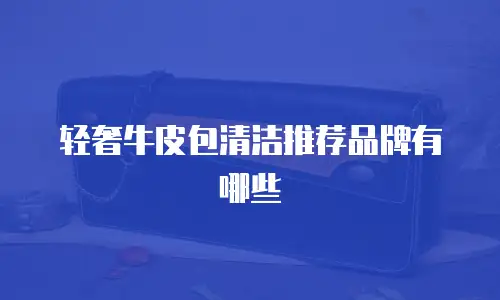 轻奢牛皮包清洁推荐品牌有哪些