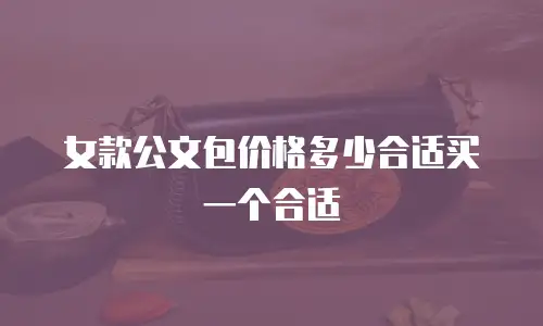 女款公文包价格多少合适买一个合适