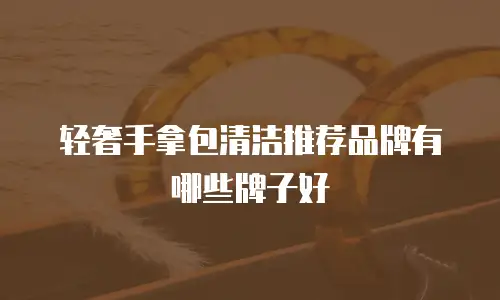 轻奢手拿包清洁推荐品牌有哪些牌子好