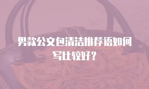 男款公文包清洁推荐语如何写比较好？