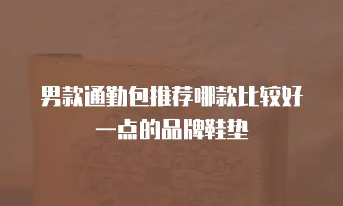 男款通勤包推荐哪款比较好一点的品牌鞋垫