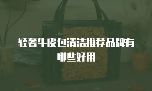 轻奢牛皮包清洁推荐品牌有哪些好用
