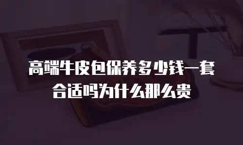 高端牛皮包保养多少钱一套合适吗为什么那么贵
