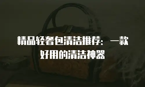 精品轻奢包清洁推荐：一款好用的清洁神器