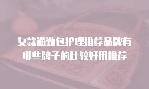 女款通勤包护理推荐品牌有哪些牌子的比较好用推荐