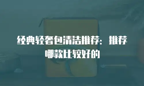 经典轻奢包清洁推荐：推荐哪款比较好的