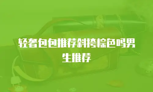 轻奢包包推荐斜挎棕色吗男生推荐