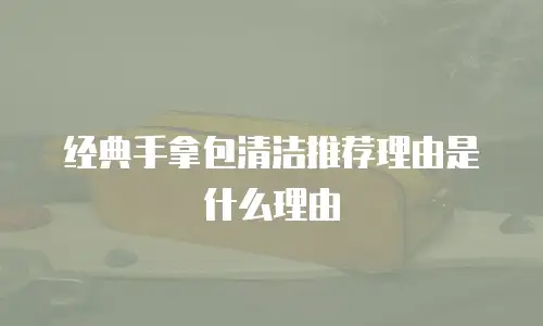 经典手拿包清洁推荐理由是什么理由