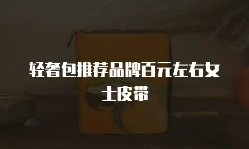 轻奢包推荐品牌百元左右女士皮带