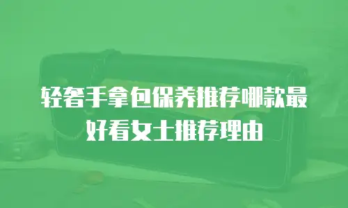 轻奢手拿包保养推荐哪款最好看女士推荐理由