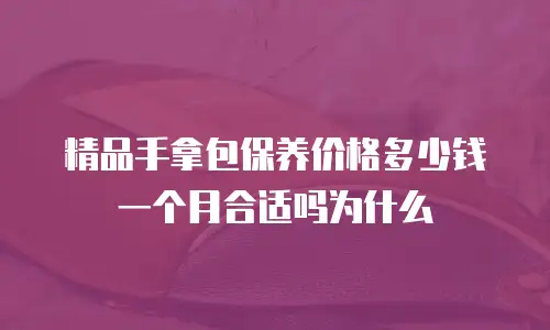 精品手拿包保养价格多少钱一个月合适吗为什么