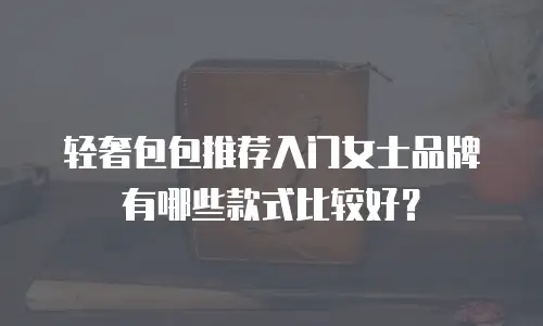 轻奢包包推荐入门女士品牌有哪些款式比较好？