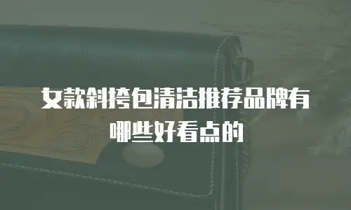 女款斜挎包清洁推荐品牌有哪些好看点的