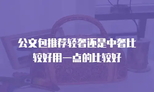 公文包推荐轻奢还是中奢比较好用一点的比较好