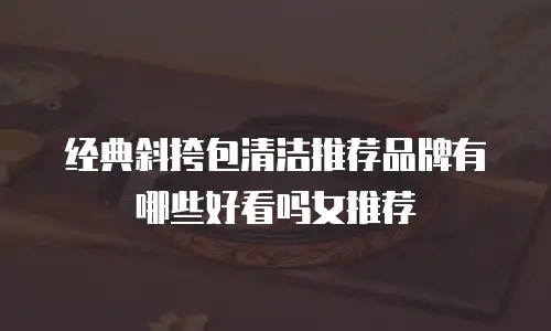 经典斜挎包清洁推荐品牌有哪些好看吗女推荐