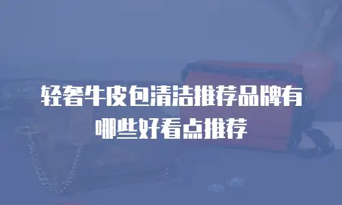 轻奢牛皮包清洁推荐品牌有哪些好看点推荐