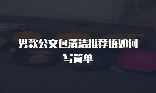男款公文包清洁推荐语如何写简单