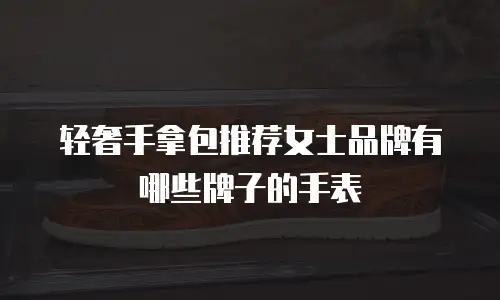 轻奢手拿包推荐女士品牌有哪些牌子的手表
