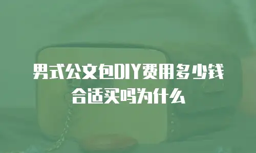 男式公文包DIY费用多少钱合适买吗为什么