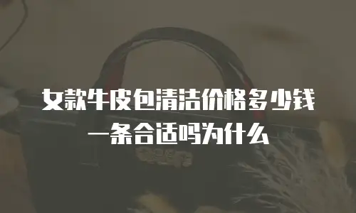 女款牛皮包清洁价格多少钱一条合适吗为什么