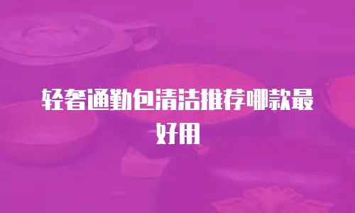 轻奢通勤包清洁推荐哪款最好用