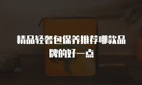 精品轻奢包保养推荐哪款品牌的好一点