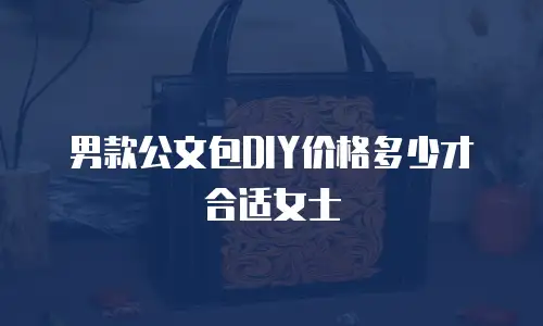 男款公文包DIY价格多少才合适女士