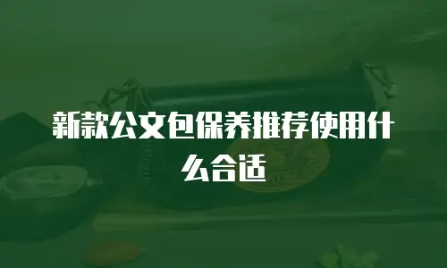 新款公文包保养推荐使用什么合适