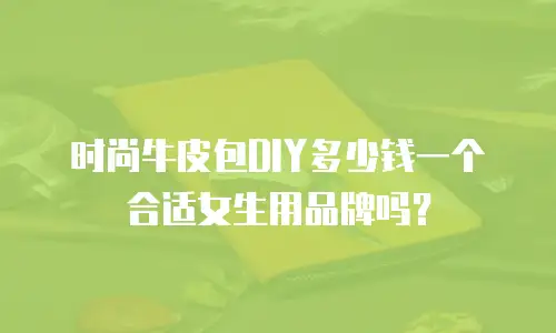 时尚牛皮包DIY多少钱一个合适女生用品牌吗？
