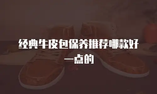 经典牛皮包保养推荐哪款好一点的