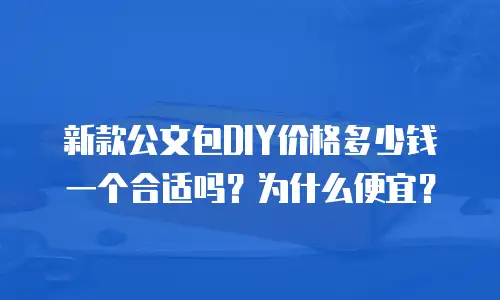新款公文包DIY价格多少钱一个合适吗？为什么便宜？