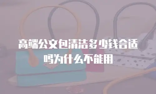 高端公文包清洁多少钱合适吗为什么不能用