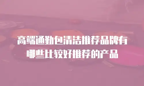 高端通勤包清洁推荐品牌有哪些比较好推荐的产品